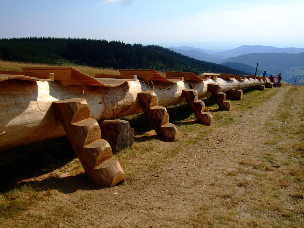 Bergseele Privat- & Retreathotel Schwarzwald Todtnauberg Εξωτερικό φωτογραφία