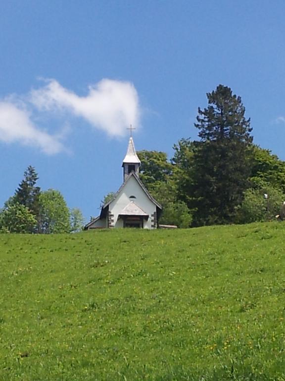 Bergseele Privat- & Retreathotel Schwarzwald Todtnauberg Εξωτερικό φωτογραφία