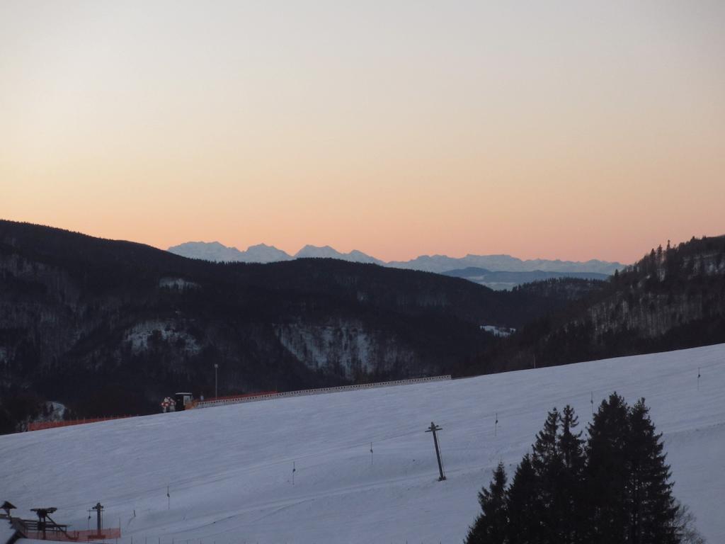 Bergseele Privat- & Retreathotel Schwarzwald Todtnauberg Εξωτερικό φωτογραφία