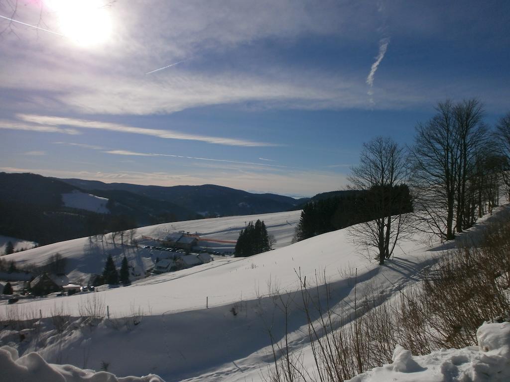 Bergseele Privat- & Retreathotel Schwarzwald Todtnauberg Εξωτερικό φωτογραφία